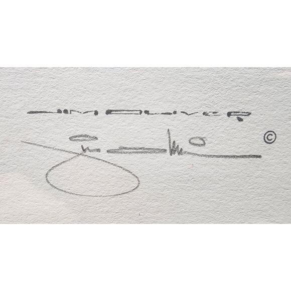 Jim Oliver Kentucky Wildcat Lithograph Plate 32 Signed Embossed Framed Art - Picture 8 of 12